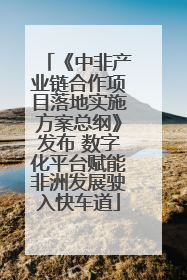 《中非产业链合作项目落地实施方案总纲》发布 数字化平台赋能非洲发展驶入快车道