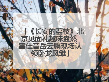 《长安的荔枝》北京见面礼趣味盎然 雷佳音岳云鹏现场认领卧龙凤雏