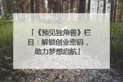 《预见独角兽》栏目：解锁创业密码，助力梦想启航