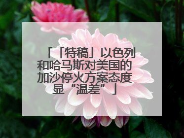 「特稿」以色列和哈马斯对美国的加沙停火方案态度显“温差”