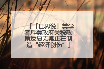 「世界说」美学者斥美政府关税政策反复无常正在制造“经济创伤”