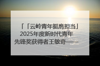 「云岭青年挺膺担当」2025年度新时代青年先锋奖获得者王敏奇——澜沧江上好渔人