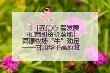「强信心 看发展·招商引资拼落地」高原牧场“牛”劲足——甘肃华予高原牧场高标准奶牛肉牛养殖项目一线见闻