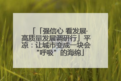 「强信心 看发展·高质量发展调研行」平凉：让城市变成一块会“呼吸”的海绵