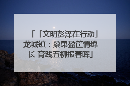 「文明彭泽在行动」龙城镇：桑果盈筐情绵长 育践五柳报春晖