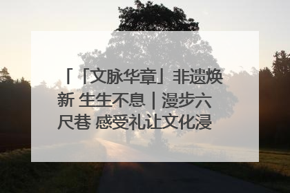 「文脉华章」非遗焕新 生生不息｜漫步六尺巷 感受礼让文化浸润的“巷”往生活