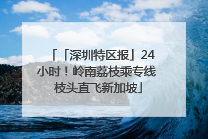「深圳特区报」24小时！岭南荔枝乘专线 枝头直飞新加坡