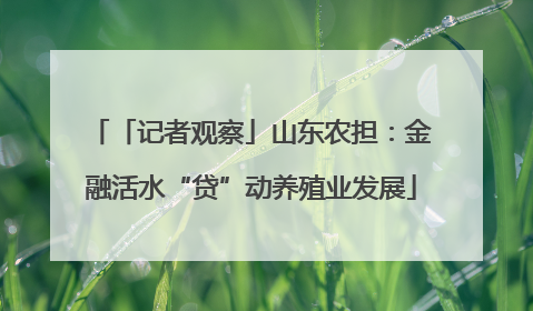 「记者观察」山东农担：金融活水“贷”动养殖业发展