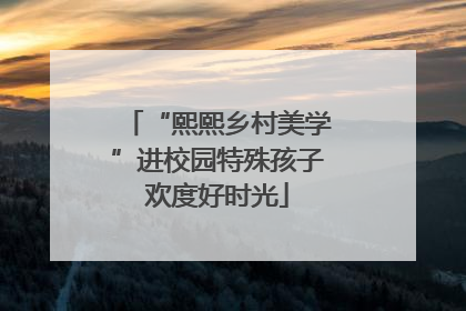 “熙熙乡村美学”进校园特殊孩子欢度好时光