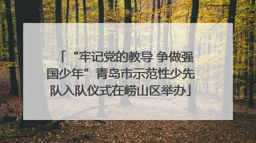 “牢记党的教导 争做强国少年”青岛市示范性少先队入队仪式在崂山区举办