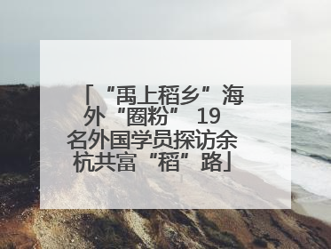 “禹上稻乡”海外“圈粉” 19名外国学员探访余杭共富“稻”路