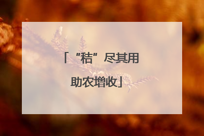 “秸”尽其用 助农增收
