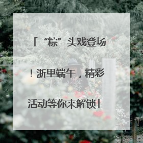 “粽”头戏登场！浙里端午，精彩活动等你来解锁