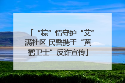 “粽”情守护“艾”满社区 民警携手“黄鹤卫士”反诈宣传