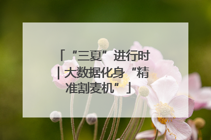 “三夏”进行时｜大数据化身“精准割麦机”
