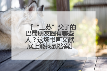 “三苏”父子的巴蜀朋友圈有哪些人？这场书画文献展上能找到答案