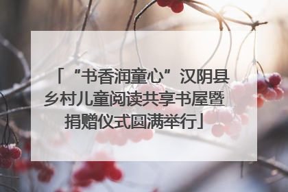 “书香润童心”汉阴县乡村儿童阅读共享书屋暨捐赠仪式圆满举行