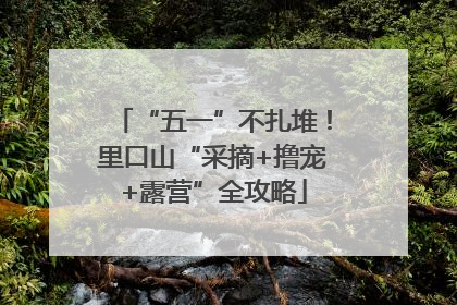 “五一”不扎堆！里口山“采摘+撸宠+露营”全攻略