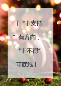 “十支持”有方向，“十不得”守底线