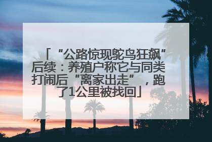 “公路惊现鸵鸟狂飙”后续：养殖户称它与同类打闹后“离家出走”，跑了1公里被找回