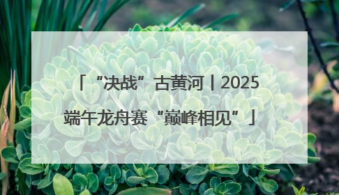 “决战”古黄河丨2025端午龙舟赛“巅峰相见”