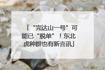 “完达山一号”可能已“脱单”！东北虎种群也有新喜讯