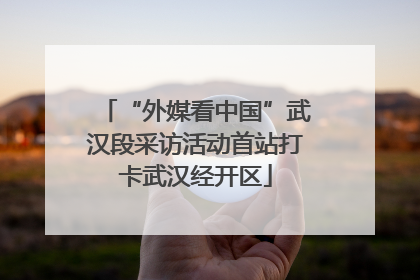 “外媒看中国”武汉段采访活动首站打卡武汉经开区