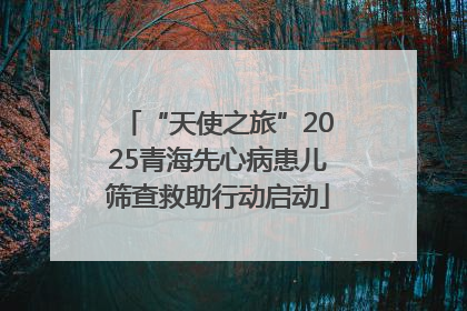 “天使之旅”2025青海先心病患儿筛查救助行动启动