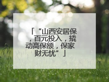 “山西安居保，百元投入，撬动高保额，保家财无忧”