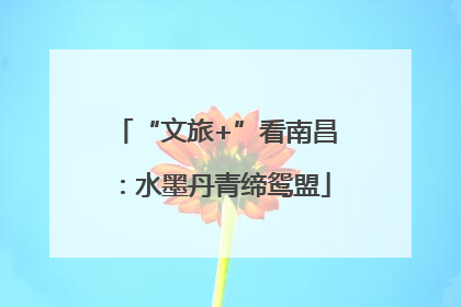 “文旅+”看南昌：水墨丹青缔鸳盟