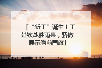 “新王”诞生！王楚钦战胜雨果，骄傲展示胸前国旗