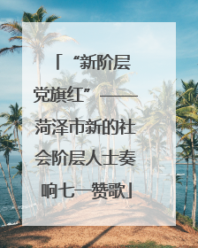 “新阶层 党旗红”——菏泽市新的社会阶层人士奏响七一赞歌