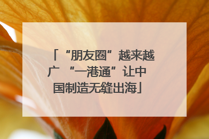 “朋友圈”越来越广 “一港通”让中国制造无缝出海