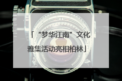 “梦华江南”文化雅集活动亮相柏林
