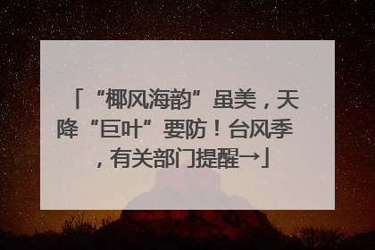 “椰风海韵”虽美，天降“巨叶”要防！台风季，有关部门提醒→