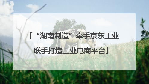 “湖南制造”牵手京东工业 联手打造工业电商平台