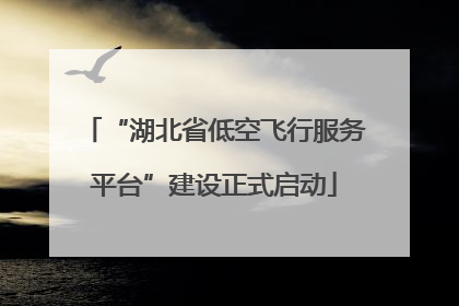 “湖北省低空飞行服务平台”建设正式启动