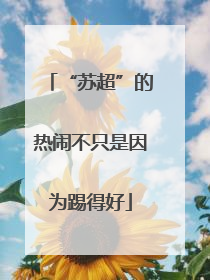“苏超”的热闹不只是因为踢得好