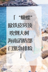 “蝴蝶”掀铁皮房顶吹倒大树 海南消防部门紧急排险