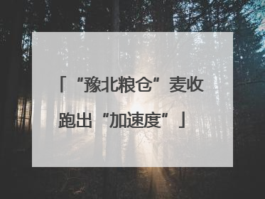 “豫北粮仓”麦收跑出“加速度”