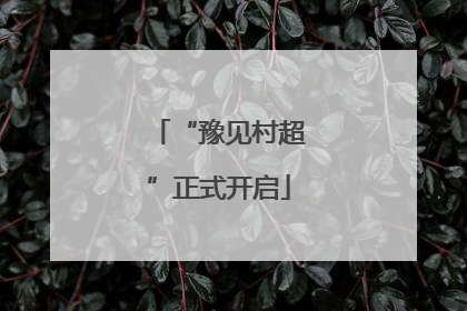 “豫见村超”正式开启