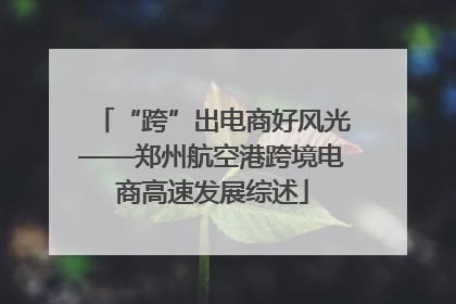 “跨”出电商好风光——郑州航空港跨境电商高速发展综述