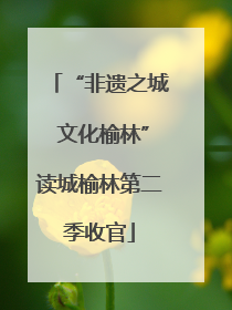 “非遗之城 文化榆林”读城榆林第二季收官