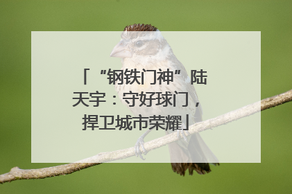 “钢铁门神”陆天宇：守好球门，捍卫城市荣耀