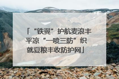 “铁翼”护航麦浪丰 平凉“一喷三防”织就夏粮丰收防护网