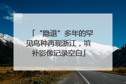 “隐退”多年的罕见鸟种再现浙江，填补影像记录空白
