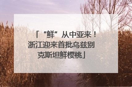 “鲜”从中亚来！浙江迎来首批乌兹别克斯坦鲜樱桃