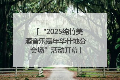 “2025绵竹美酒音乐嘉年华什地分会场”活动开幕