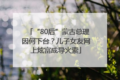 “80后”蒙古总理因何下台？儿子女友网上炫富成导火索