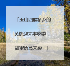 玉山四股桥乡的黄桃迎来丰收季，甜蜜诱惑来袭！